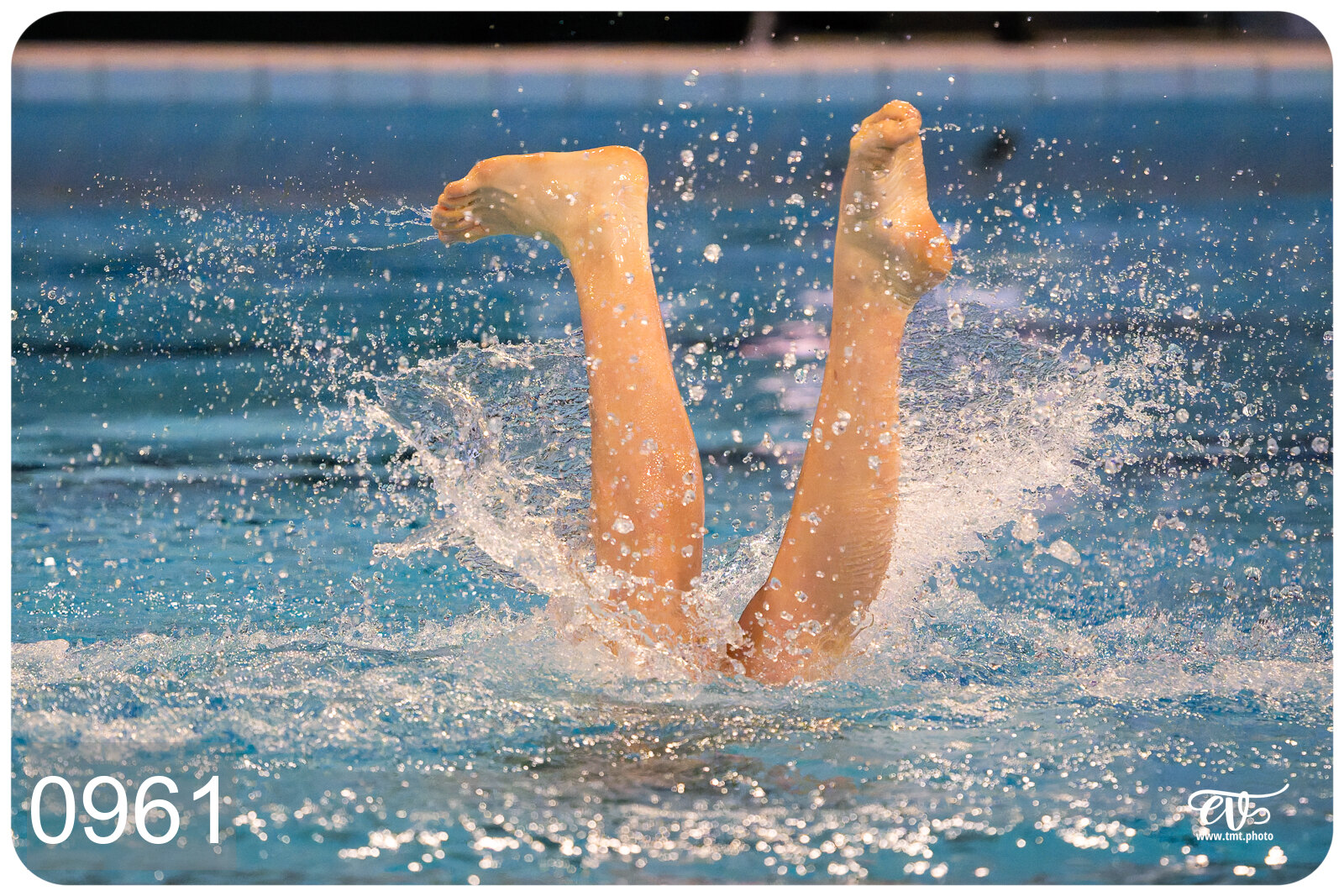 CHAMPIONNAT DE FRANCE DE NATATiON ARTISTIQUE N1 & ELITE 2026